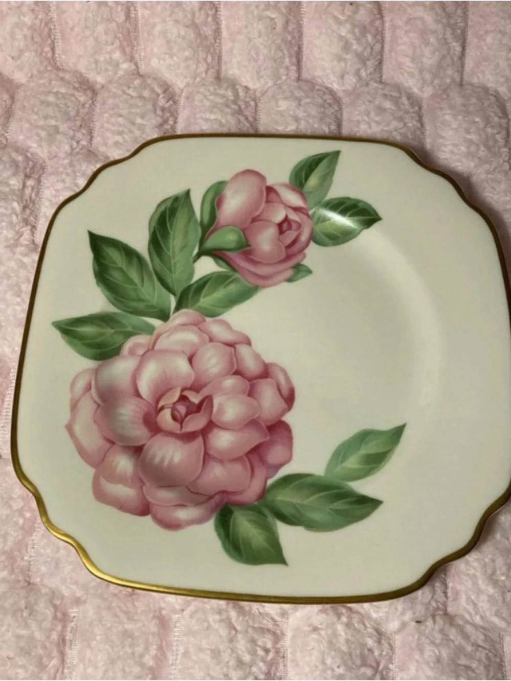 Syracuse Salad Plates set of 2